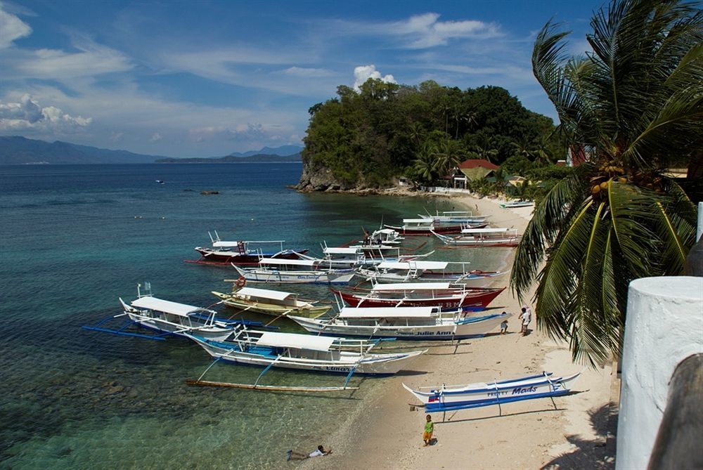 Scandi Divers Puerto Galera Eksteriør bilde